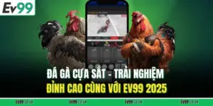 Đá Gà Cựa Sắt – Trải Nghiệm Đỉnh Cao Cùng Với EV99 2025