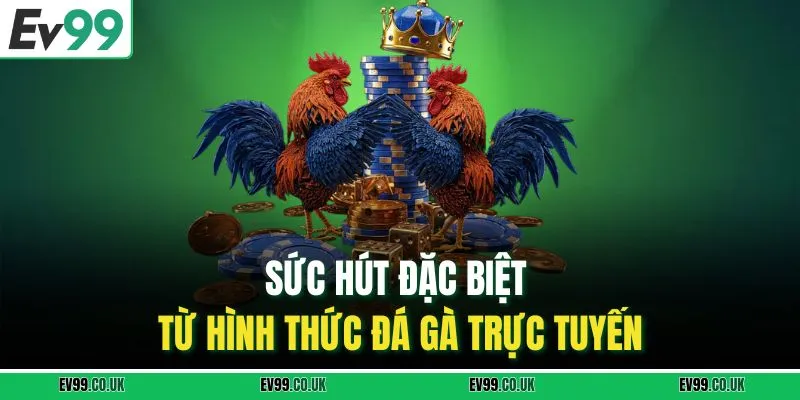 Sức hút đặc biệt từ hình thức đá gà trực tuyến
